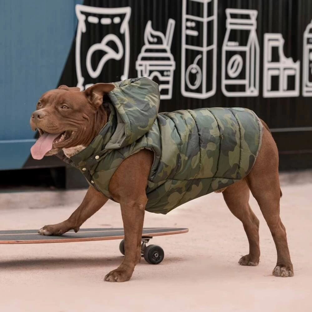 Colete shop pit bull