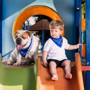 bebê no escorregador  usando bandana babador azul com detalhes branco e preto junto com cachorro usando bandana para cachorro azul com detalhes preto e cinza 