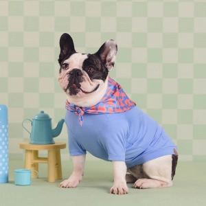 cachorro vestido com camiseta azul usando uma  bandana laranja e azul para cahorro e gato