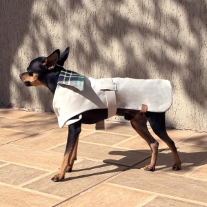  cachorro vestido com casaco para cachorro bege e verde 