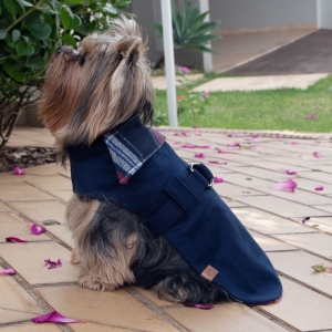 cachorro vestido com casaco para cachorro marinho e vermelho
