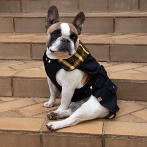 cachorro vestindo casaco preto com gola xadrez para cachorro 