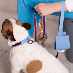 mulher usando um cata caca em couro azul segurando um cachorro usando uma coleira azul