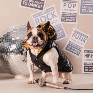 cachorro vestido com colete para cachorro e gato com capuz e forro xadrez  amarelo