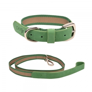 kit coleira - guia verde para cachorro