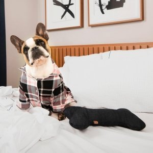 cachorro usando o pijama lulli rosa em cima da cama com o osso de brinquedo blue