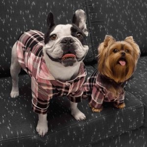 cachorros usando pijama luli xadrez rosa para pet 