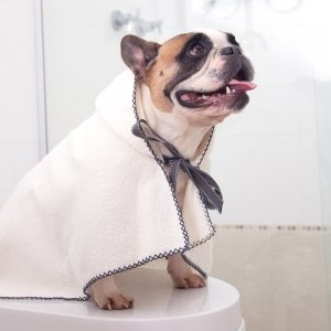 cachorro vestido com toalha de banho branca com capuz bubble
